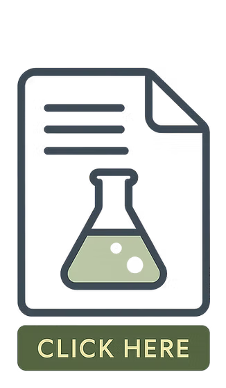 Click here to download Your Path to a National Lab Internship